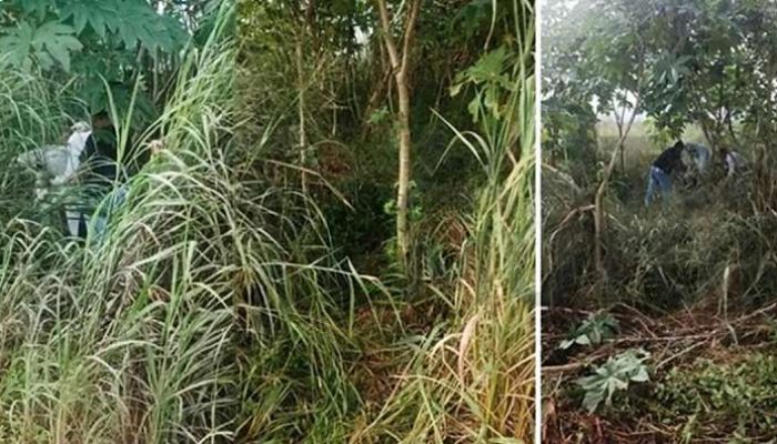 corpo-encontrado-em-nova-mutum